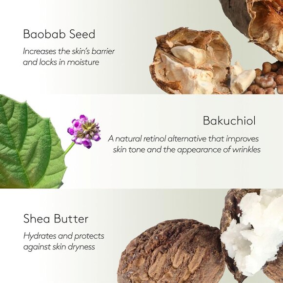 S'ABLE LABS - Baobab Moisturizer REFILL | Replenish, Rejuvenate, Restore- 50 ml - Picture 5 of 6